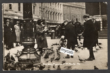 Postcard London Life view of Feeding Pigeons at St Pauls RP by Race