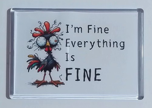 Extra large fridge magnet - extra,