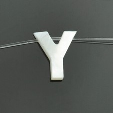 White Mother of Pearl Shell