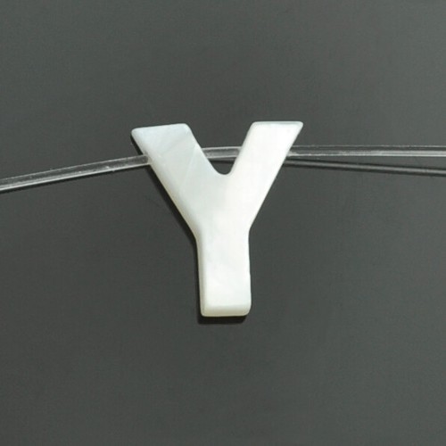 White mother pearl shell - mother,