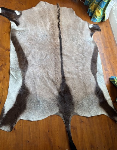 Gemsbok skin beautifully - gemsbok, skin.