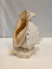 Large Conch Shell Ornament: Height 30cm (12")