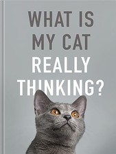 What is My Cat Really Thinking?: Our Moggie's Inner Mind... - Susanna Geoghegan