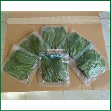 Organic Sun Dried Soursop