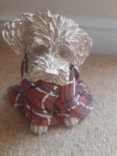 Next Charlie Cockapoo in