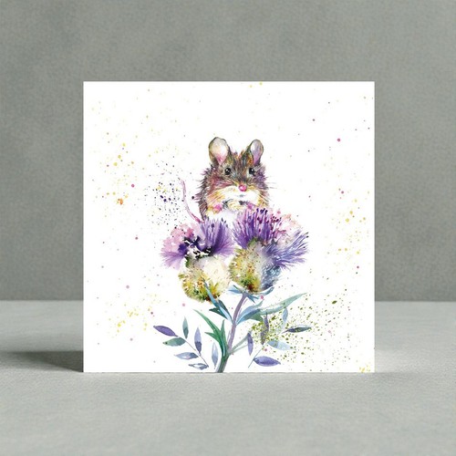 Field mouse thistle - field,