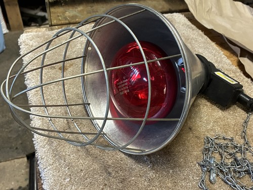 Infrared heat lamp - infrared,