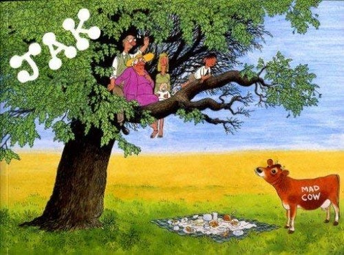 Chapman jak cartoon book 1990 - book,