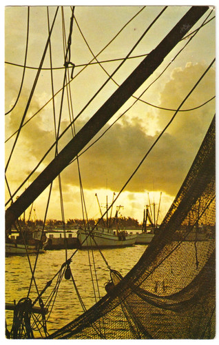 Postcard commercial fishing - "commercial,