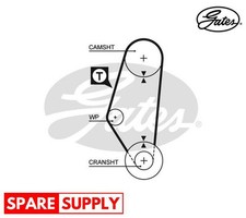 TIMING BELT FOR SEAT CORDOBA