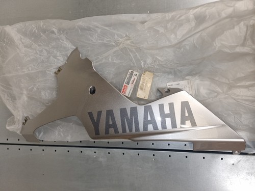 Lower left fairing - left, r1