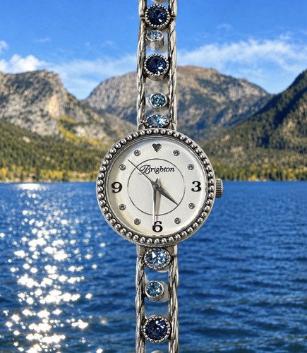 Brighton corona watch - brighton,