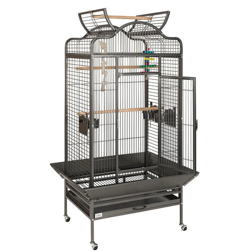 Large antique voyager parrot - voyager,