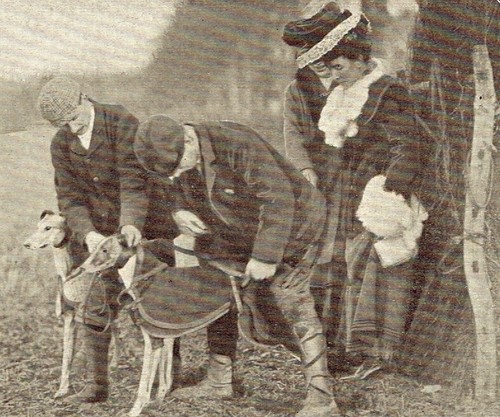 Newmarket hare coursing - newmarket,