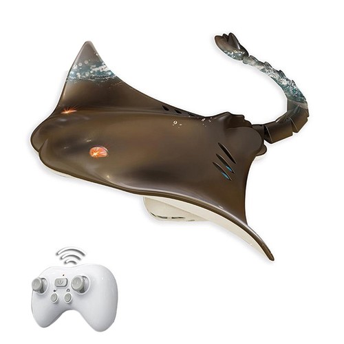 Remote control boat - remote,