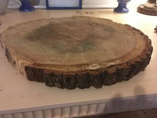 Oak wood tree log section cookie trunk slab - carving woodworking x 1