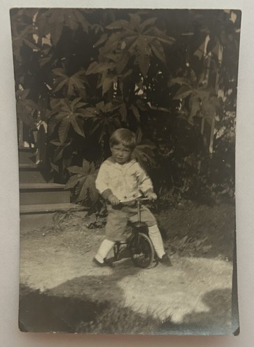 Antique snapshot photo boy - photo, on