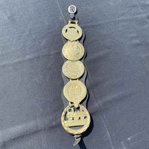 Horse brass llangollen - horse,