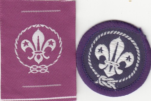 Boy scout badges world - badges,