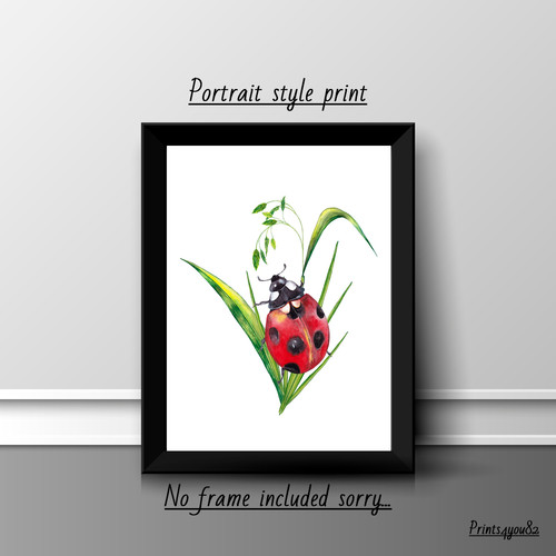 Ladybird botanical print - ladybird, a4