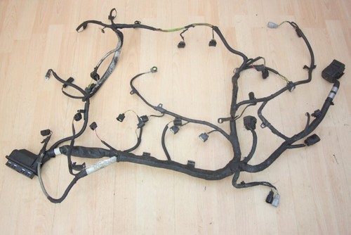 Engine management wiring loom - wiring,