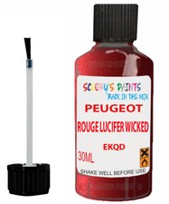Paint Touch Up For Peugeot 307
