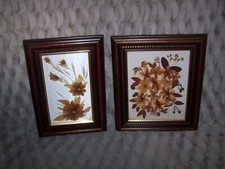 two vintage framed dried pressed flower arrangements dawn adine