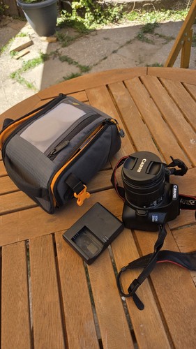 Canon eos 250d 1mp - canon, 24.1mp