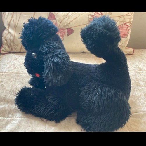 Preloved black plush dog - preloved,