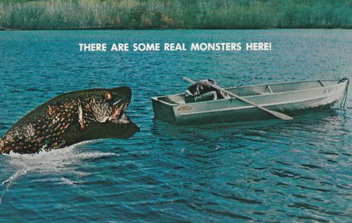 There are some real - are,
