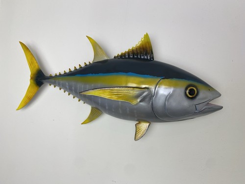 Yellow fin tuna - tuna, mounted