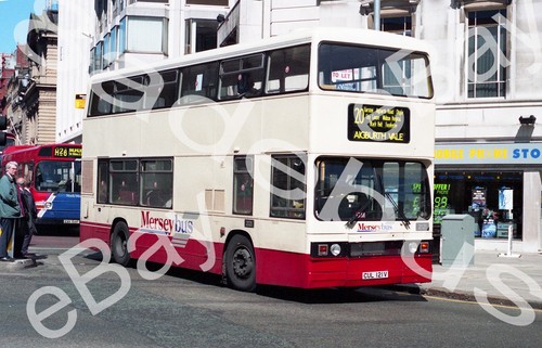 Bus negative copyright - negative,