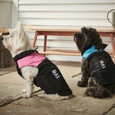 Personalised Named Custom Dog