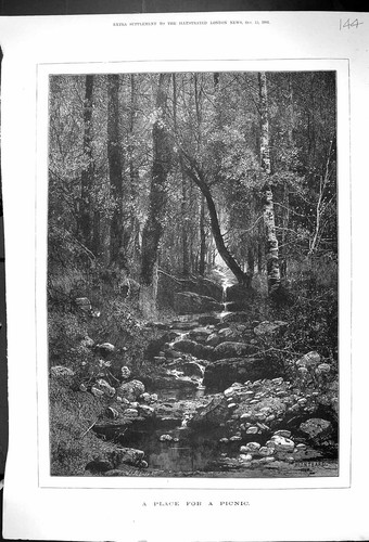 Original old antique print - original,