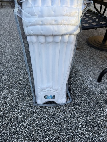 Cricket batting pads - cricket,