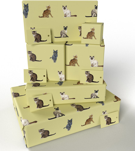 Wrapped wrapping paper - re-wrapped,