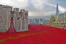 Tower of London Poppy Print Blood Swept Lands and Seas of Red Photograph Picture