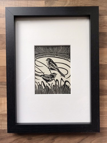 Bearded tit framed - ‘bearded, tit’-