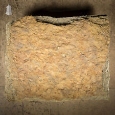 Garden Stone Slab Step, Large Riven Flagstone [No. 4]