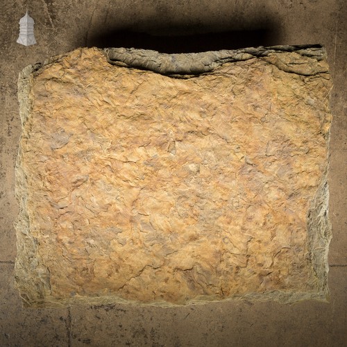Garden stone slab step large - garden,