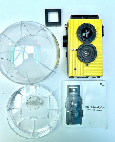 Blackbird fly twin lens reflex - fly,