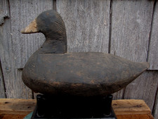 COOT DECOY PRIMITIVE VIRGINIA LURE ANTIQUE DUCK