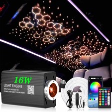 Twinkle 500x Fiber Optic Car Headliner Star Light App Remote Ceiling Lights 2/3M