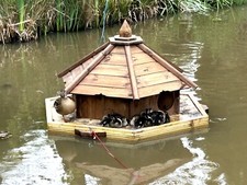 Medium hexagonal floating - hexagonal, duck