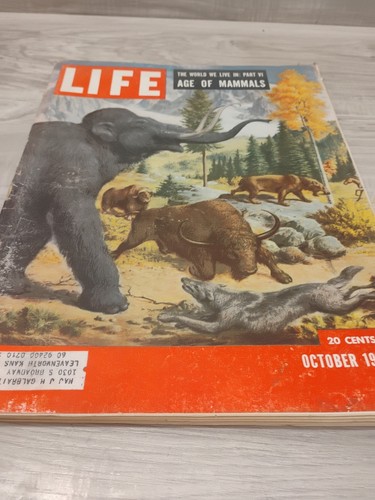 Life magazine vintage october - life,