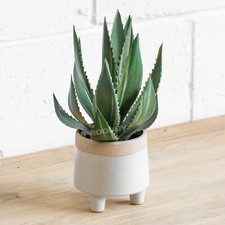 33cm Tall Artificial Aloe Vera