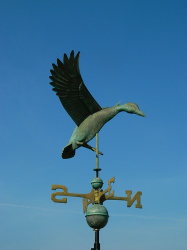Large genuine verdigris - large,