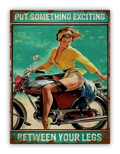 Funny rude motorcycle metal - funny,