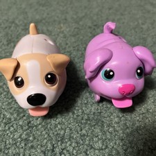 Chubby Puppies Puppy spin