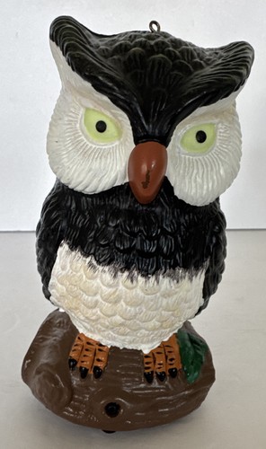 Hooting owl motion activate - motion,